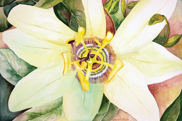 Similar To Georgia O'Keeffe: Passionflower by Deborah Eve Alastra