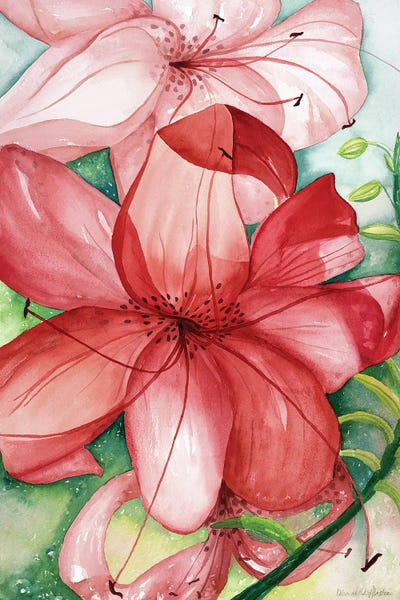 Tiger Lilies: Tigerlily by Deborah Eve Alastra