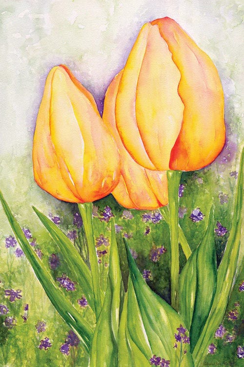 Yellow Tulips