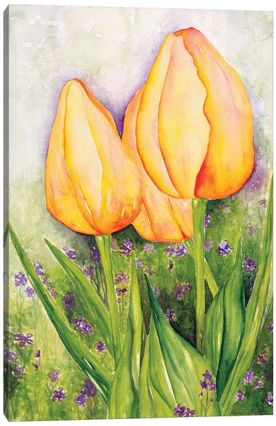 Yellow Tulips Canvas Art Print - Deborah Eve Alastra