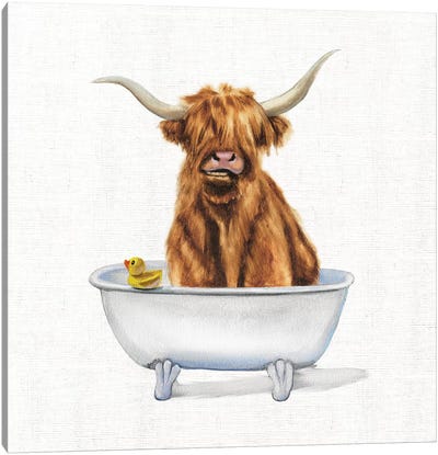 Bathing Beauty IV Canvas Art Print - Highland Cow Art