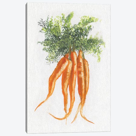Garden Fresh Carrots Canvas Print #DBK14} by Donna Brooks Canvas Art Print