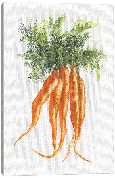 Garden Fresh Carrots Canvas Art Print