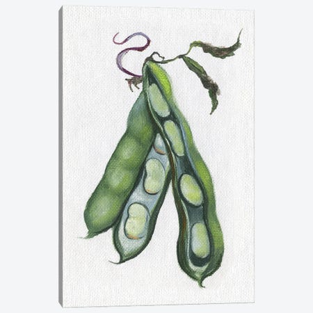 Garden Fresh Peas Canvas Print #DBK15} by Donna Brooks Art Print