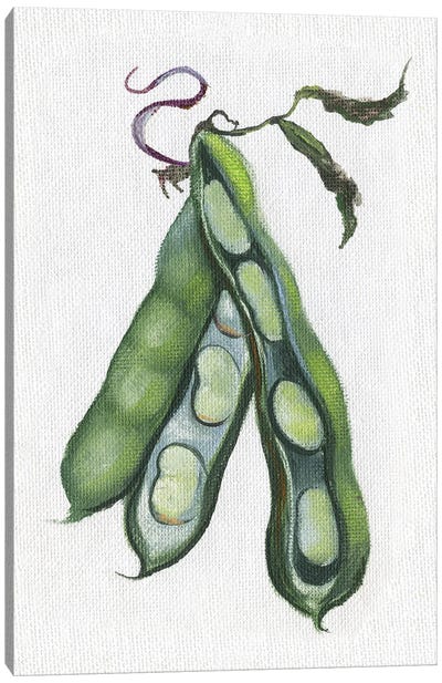 Garden Fresh Peas Canvas Art Print