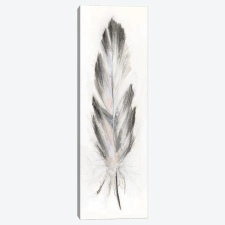 Feather Fancy I Canvas Print #DBK18} by Donna Brooks Canvas Artwork