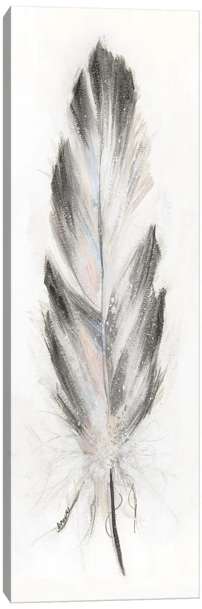 Feather Fancy I Canvas Art Print - Feather Art
