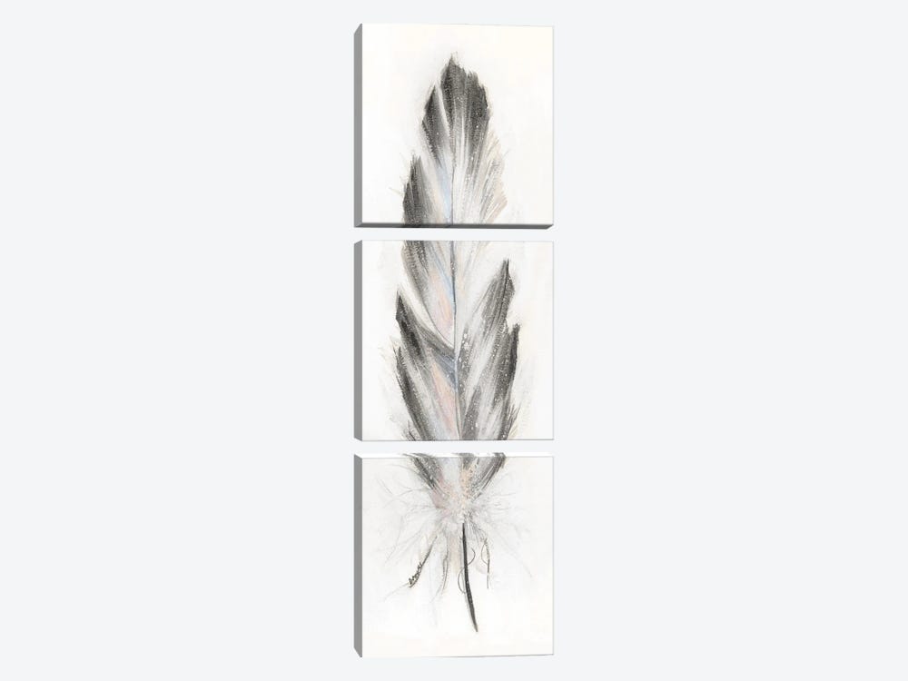 Feather Fancy I by Donna Brooks 3-piece Art Print