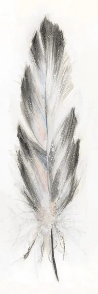 Feathers: Feather Fancy I by Donna Brooks