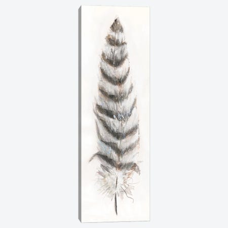 Feather Fancy II Canvas Print #DBK19} by Donna Brooks Canvas Wall Art