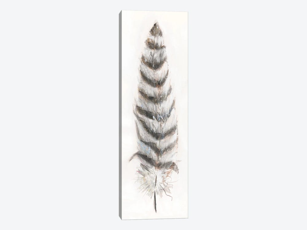 Feather Fancy II by Donna Brooks 1-piece Canvas Art