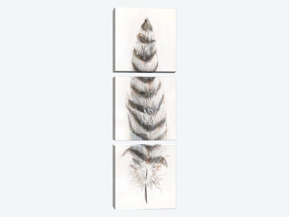 Feather Fancy II by Donna Brooks 3-piece Canvas Artwork