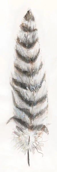 Feathers: Feather Fancy II by Donna Brooks