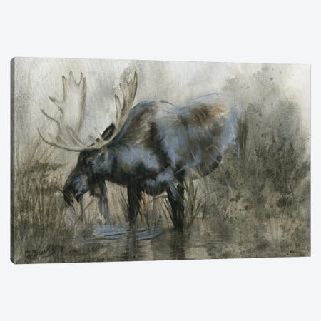 Majestic Elk Canvas Print #DBK1} by Donna Brooks Canvas Art Print