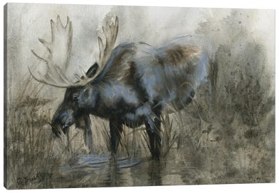 Majestic Elk Canvas Art Print