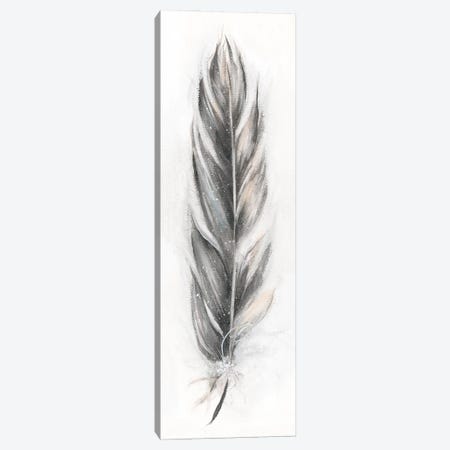 Feather Fancy III Canvas Print #DBK20} by Donna Brooks Canvas Print