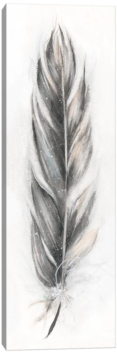 Feather Fancy III Canvas Art Print - Feather Art