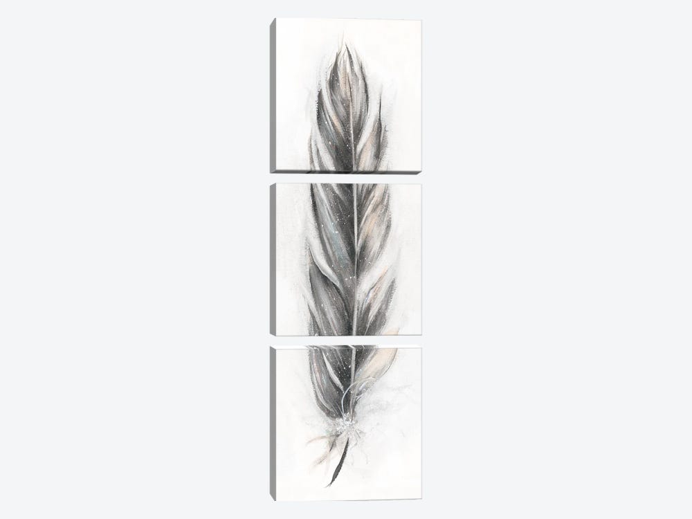 Feather Fancy III by Donna Brooks 3-piece Canvas Wall Art