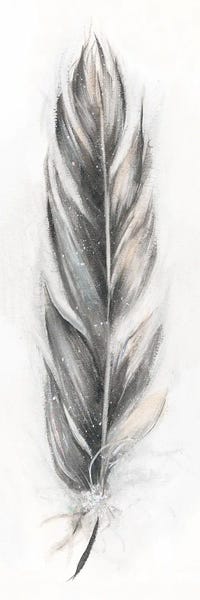 Feathers: Feather Fancy III by Donna Brooks