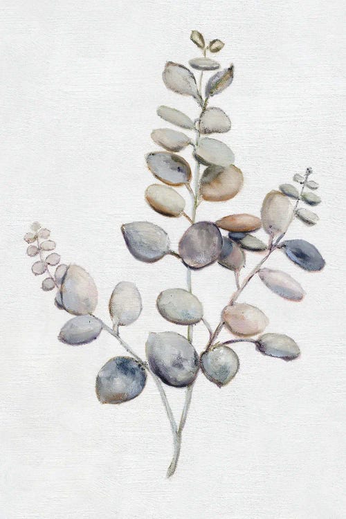 Eucalyptus I