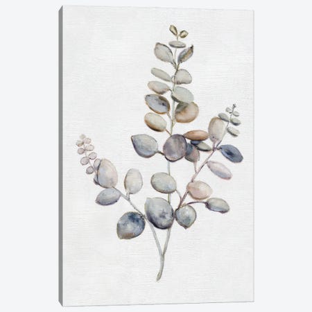 Eucalyptus I Canvas Print #DBK27} by Donna Brooks Canvas Artwork