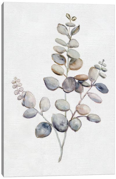 Eucalyptus I Canvas Art Print - Minimalist Kitchen Art