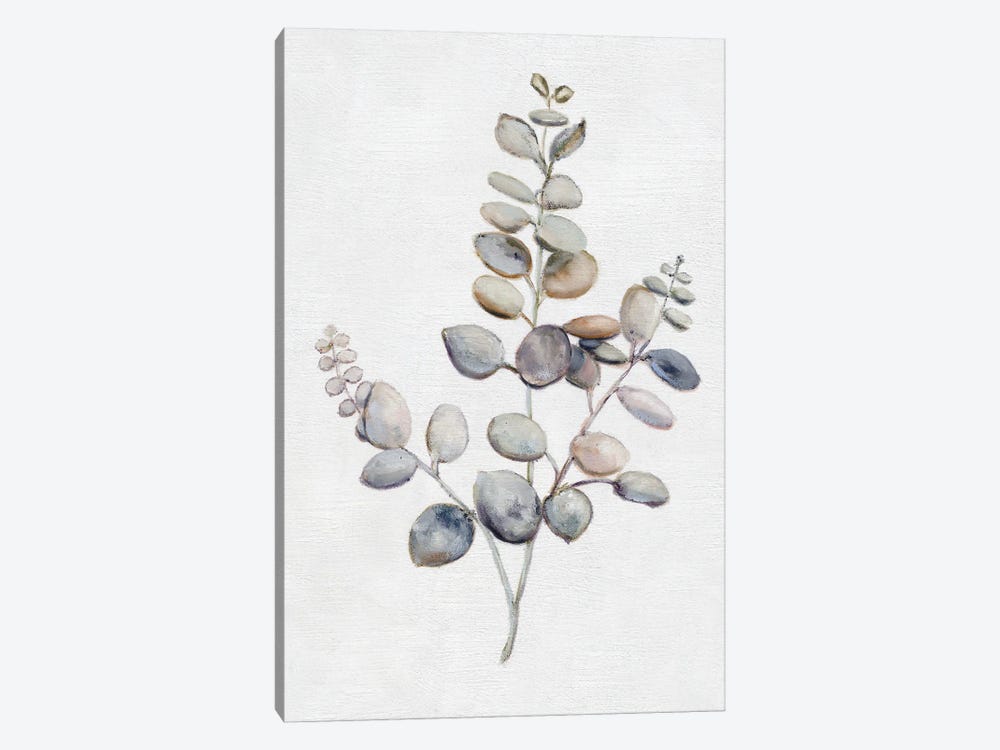 Eucalyptus I by Donna Brooks 1-piece Canvas Print