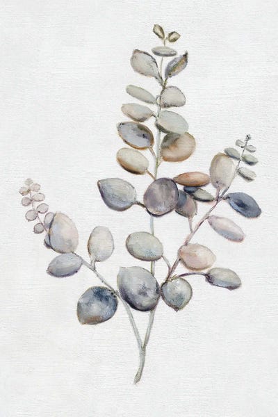Modern Farmhouse Décor: Eucalyptus I by Donna Brooks