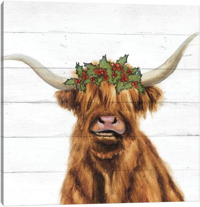 Holly Highland Canvas Art Print - Christmas Cow Art