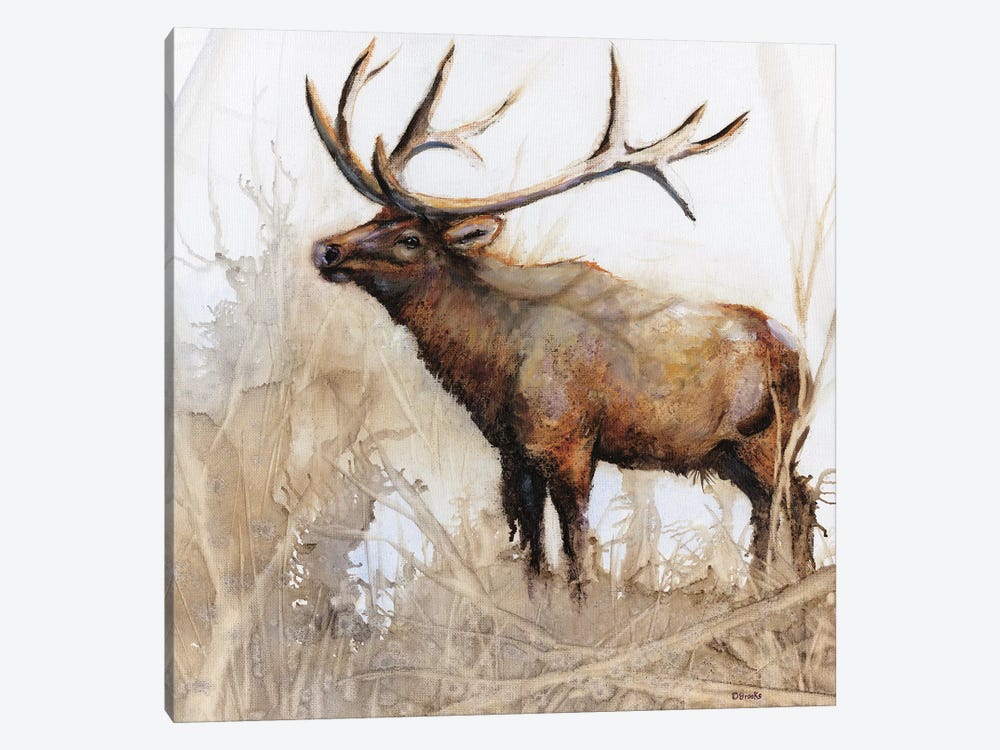 Majestic Moose by Donna Brooks 1-piece Canvas Art Print