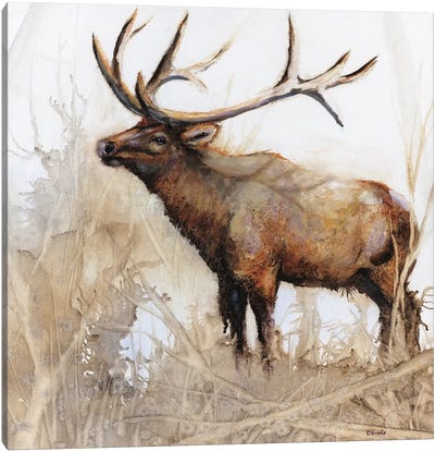 Majestic Moose Canvas Art Print - Moose Art