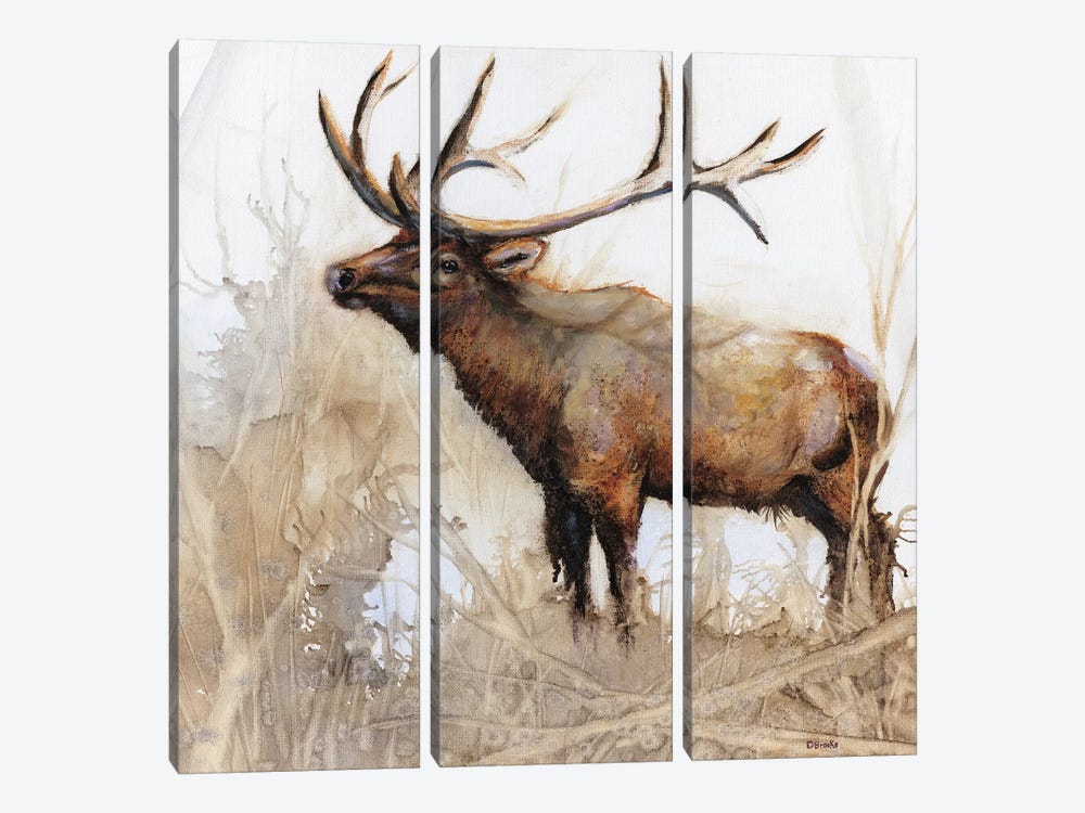 Majestic Moose by Donna Brooks 3-piece Art Print