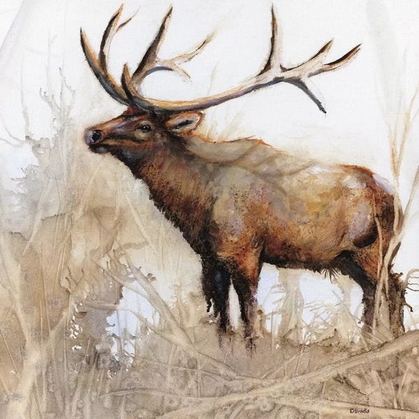 Moose: Majestic Moose by Donna Brooks