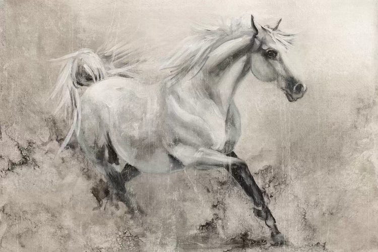 Majestic Stallion I by Donna Brooks wall art