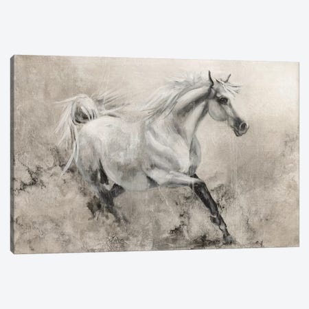 Majestic Stallion I Canvas Print #DBK3} by Donna Brooks Canvas Print