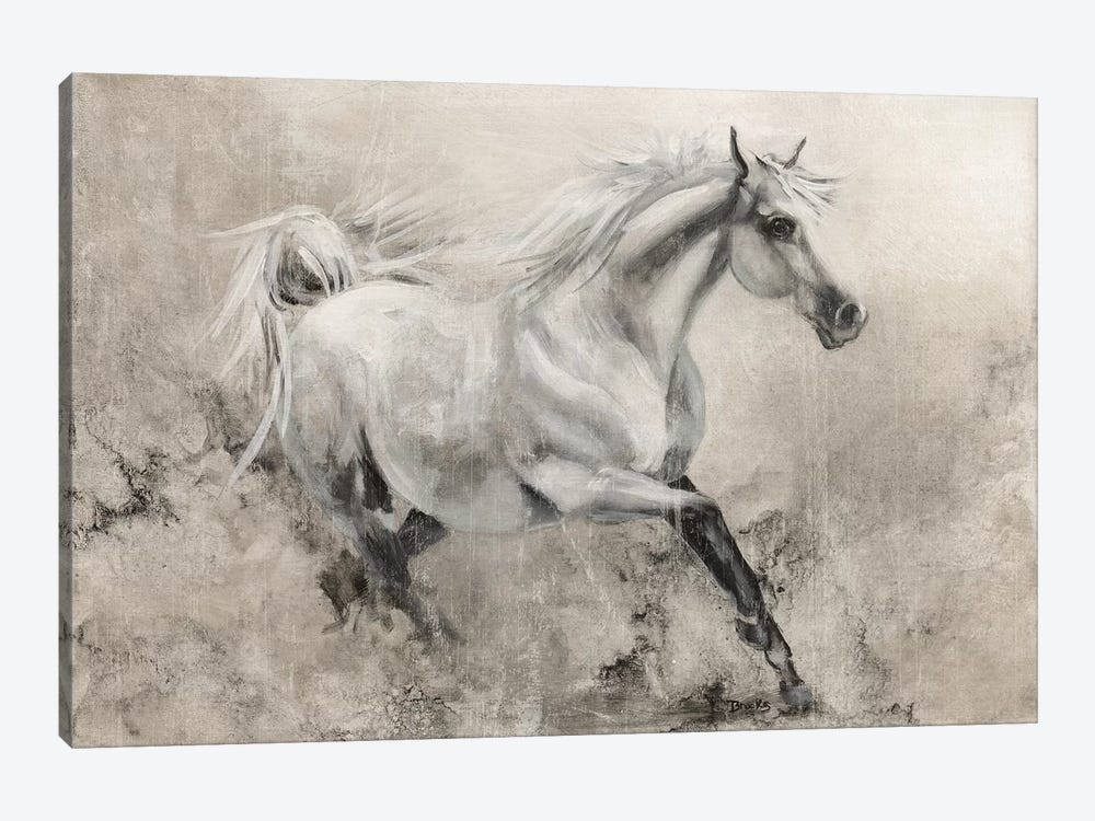 Majestic Stallion I by Donna Brooks 1-piece Canvas Artwork