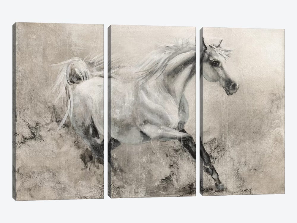 Majestic Stallion I by Donna Brooks 3-piece Canvas Artwork