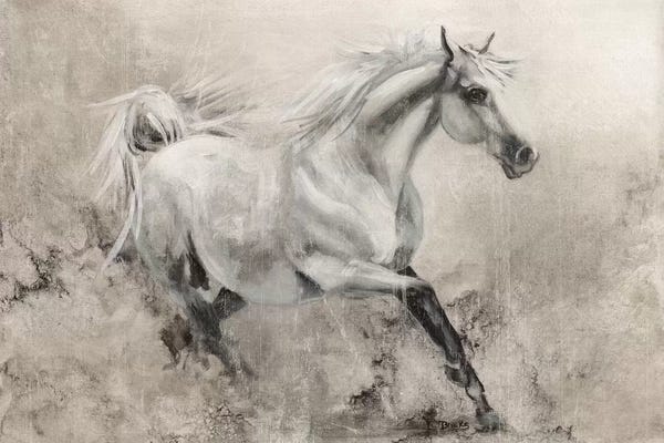 Horses: Majestic Stallion I by Donna Brooks