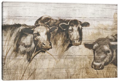 Sepia Cows Canvas Art Print