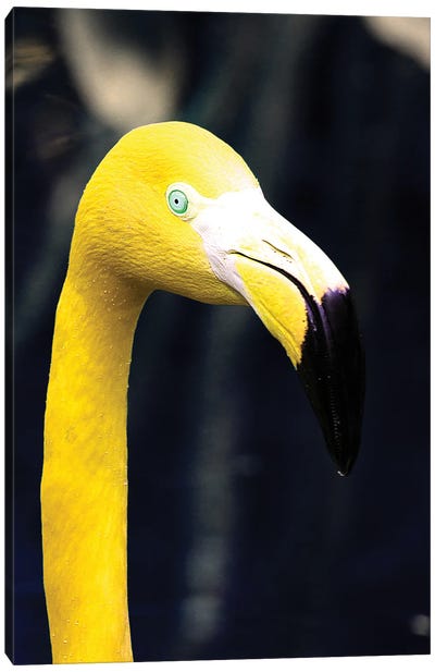 Yellow Flamingo Canvas Art Print