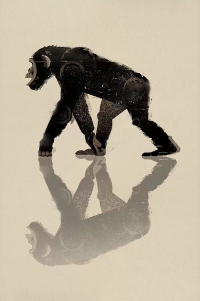 Chimp by Dieter Braun framed wall art