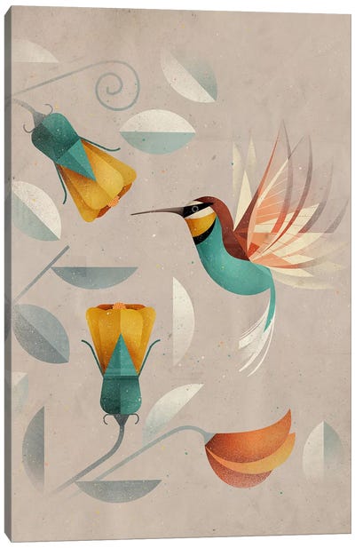 Hummingbird Canvas Art Print - Dieter Braun