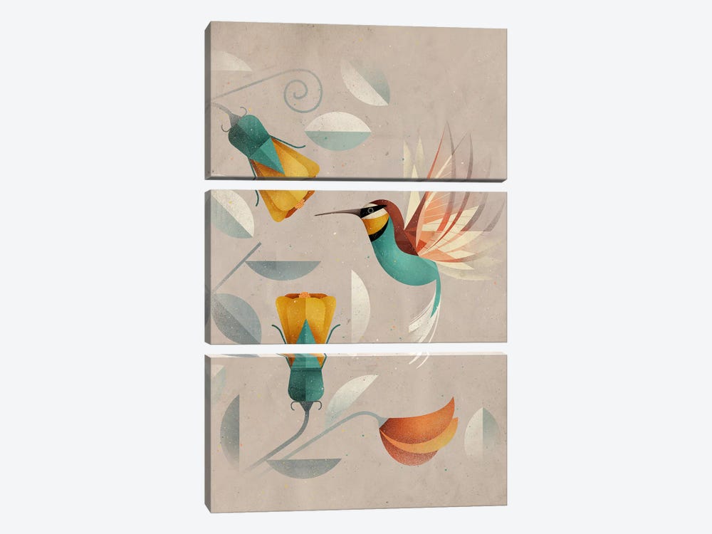 Hummingbird by Dieter Braun 3-piece Canvas Art