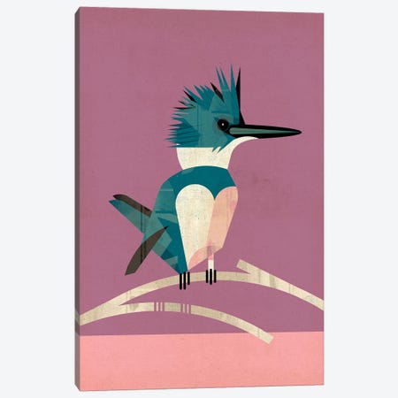 Kingfisher Canvas Print #DBR11} by Dieter Braun Art Print