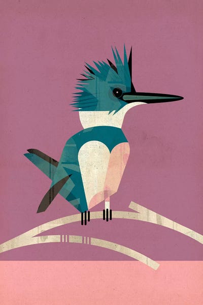 Kingfishers: Kingfisher by Dieter Braun