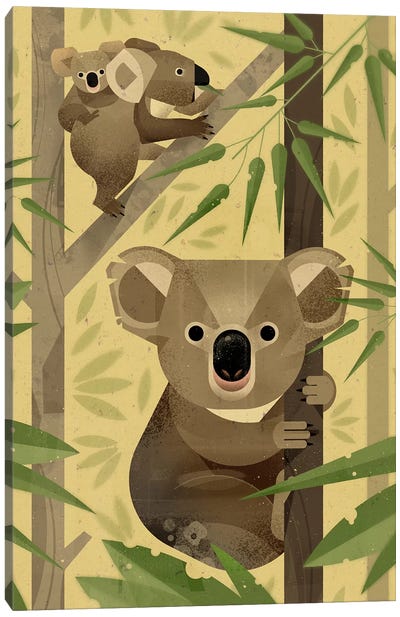 Koala Canvas Art Print - Mid-Century Modern Animals