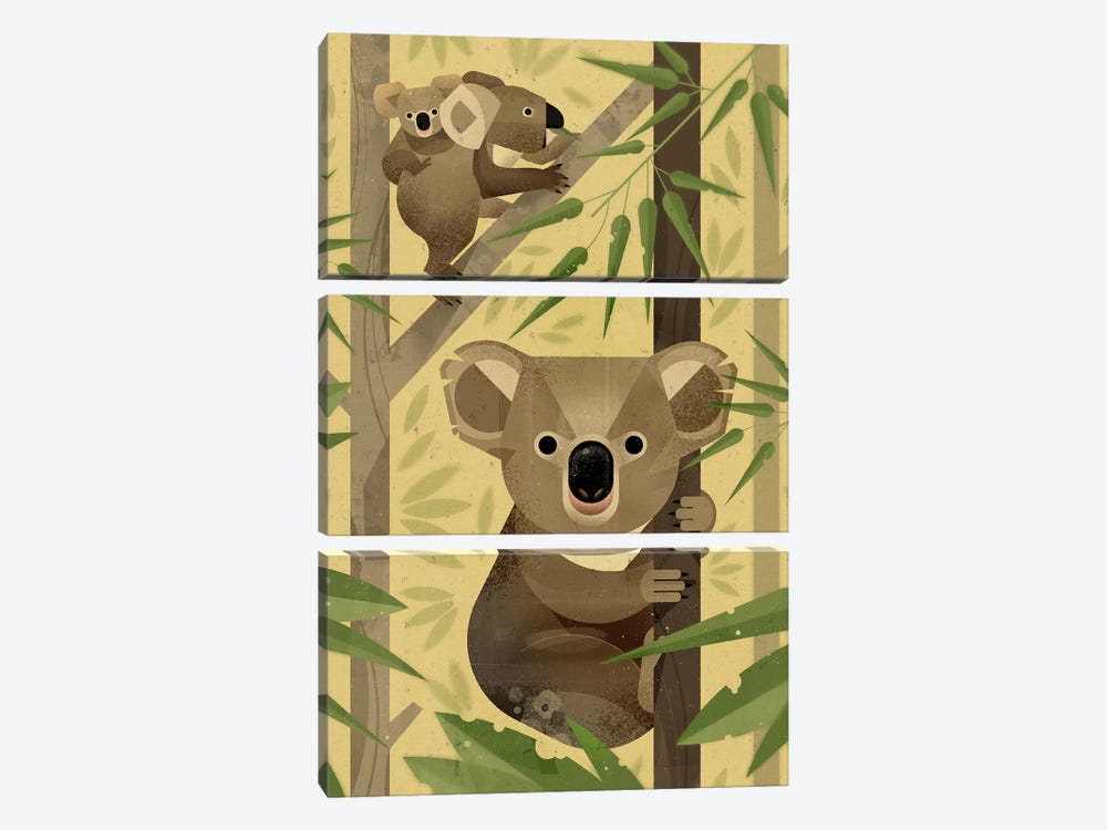 Koala by Dieter Braun 3-piece Canvas Art