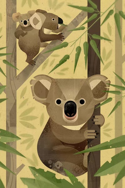 Bamboo: Koala by Dieter Braun