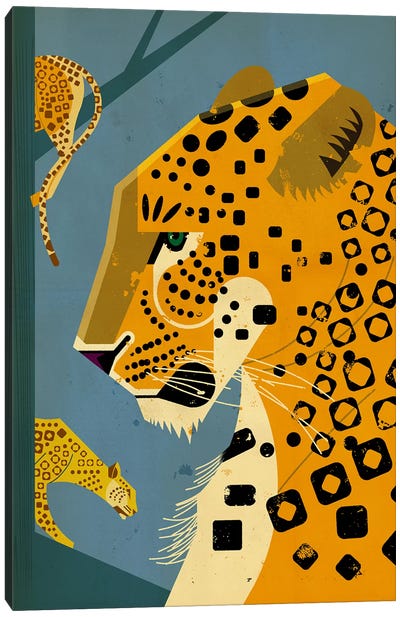 Leopard Canvas Art Print - Dieter Braun