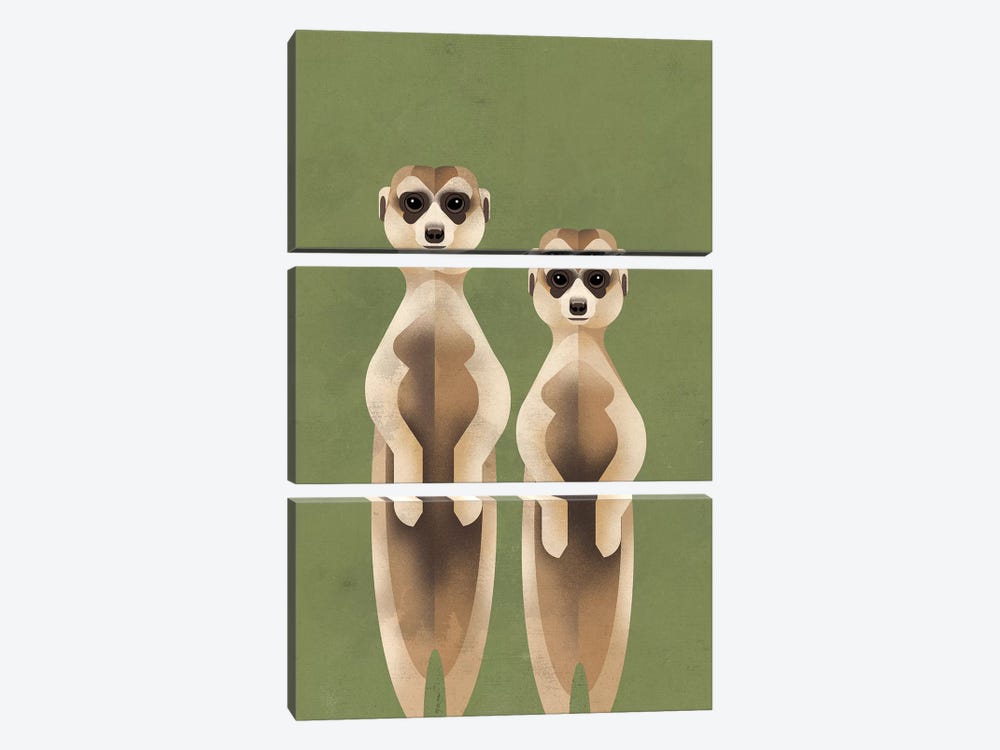 Meerkats by Dieter Braun 3-piece Canvas Artwork